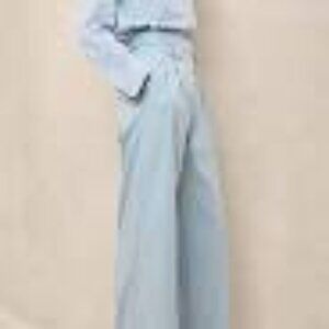 Banana Republic Carmel Pleated Wide-Leg Pant